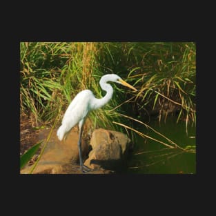 Great White Egret By Water T-Shirt