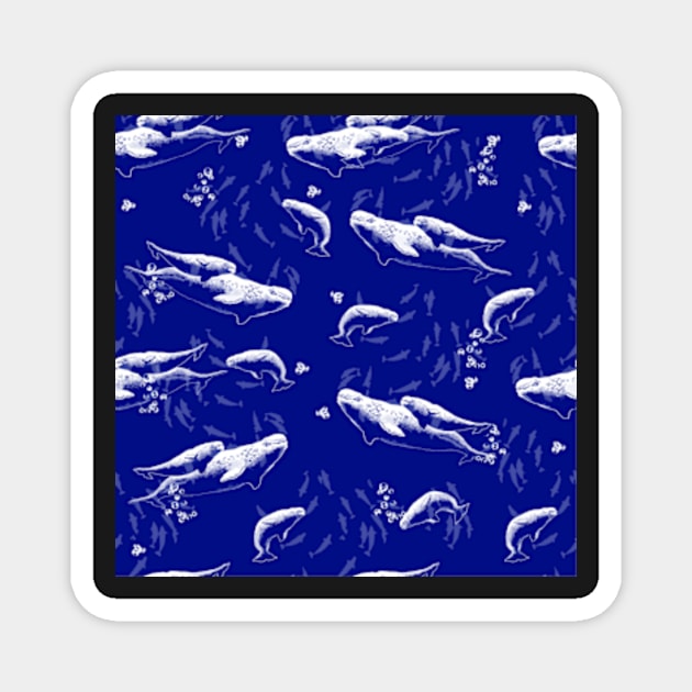 Belugas in Family of St. Lawrence Pattern - Blue Background Magnet by rainetteillus