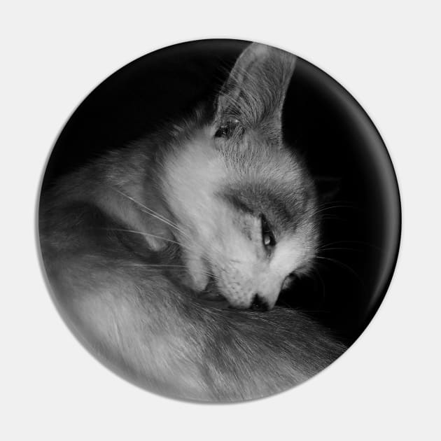 A licking cat in black and white Pin by DisaLoka