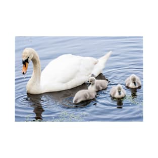 Mother Mute Swan and her Four Cygnets T-Shirt