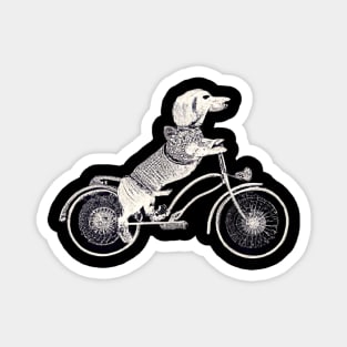 Biking Doxie Magnet