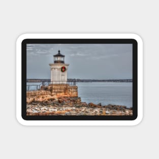 Bug Light Christmas Magnet