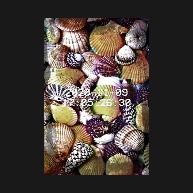 Glitch art Seashells by Digital GraphX