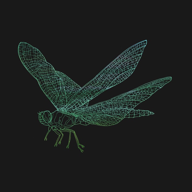 Dragonfly by davidbushell82
