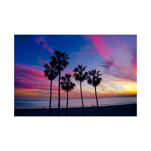 Cotton Candy Palm Tree Sunset by NewburyBoutique