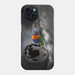 Rainbow Lorikeet_5114A Phone Case