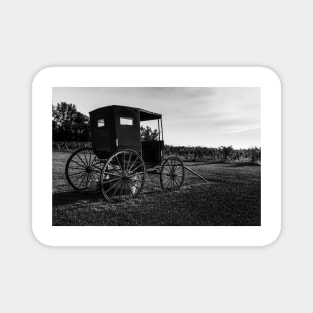 Old Horse Buggy BW 4 Magnet