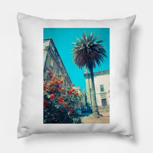 Mediterranean Pillow