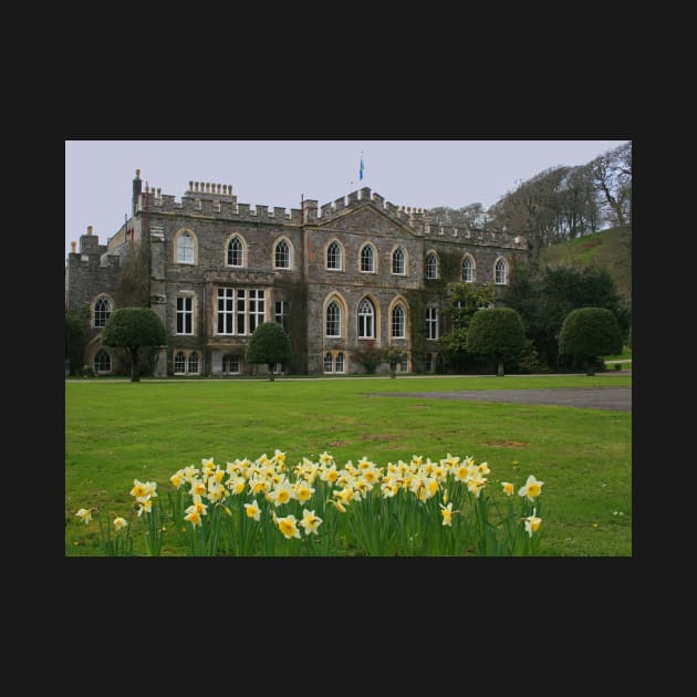 Hartland Abbey by RedHillDigital