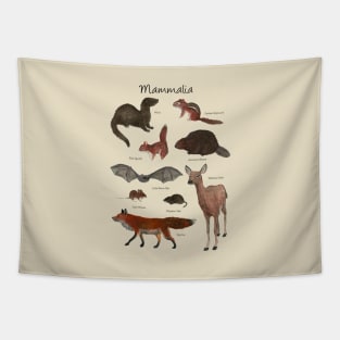 Mammalia Tapestry