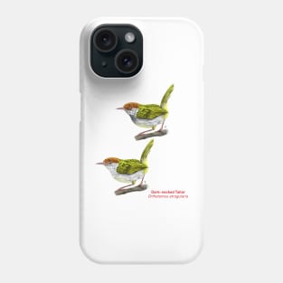 Dark-necked Tailor | Orthotomus atrogularis ⚥ Phone Case