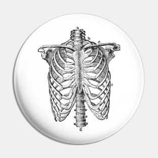 Anatomy lungs Pin