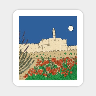 The Tower of david in full moon, Jerusalem Magnet