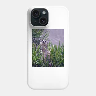 Meerkat Phone Case