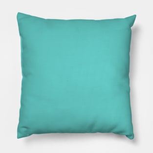 Cool Mint Pillow