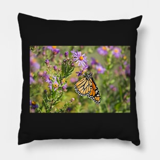 Papillon Monarque Pillow