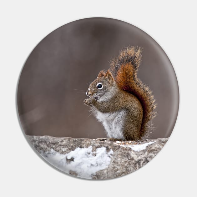 Red Squirrel Pin by jaydee1400