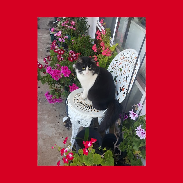 Tuxedo Cat Cute and Beautiful Flowers by SarahRajkotwala