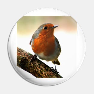 Robin Pin