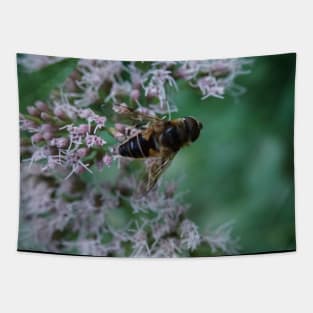 Bee And Moth On Water Hemp Flower Tapestry