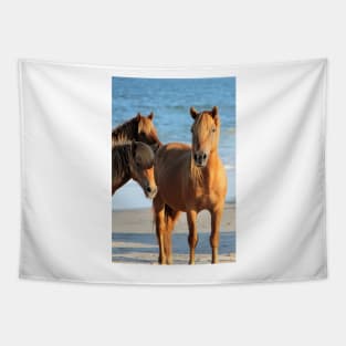 Assateague Beach Ponies Series - 01 Tapestry