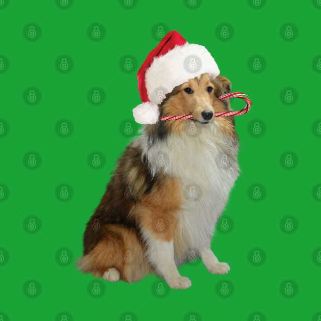 Xmas Sheltie by Madblossom