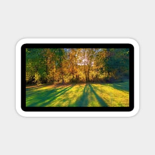 Mystical Fall Trees Magnet