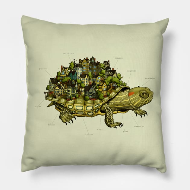 Turtle Town Pillow by JadaFitch