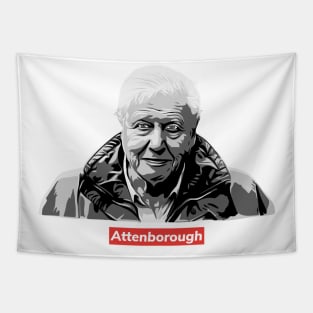 Sir David Attenborough / Supr3me Tapestry