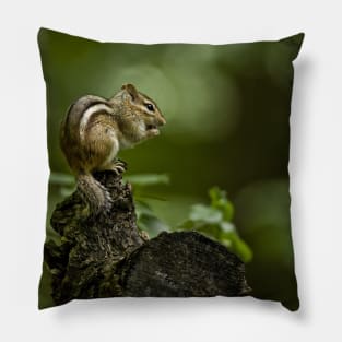 Chipmunk Pillow