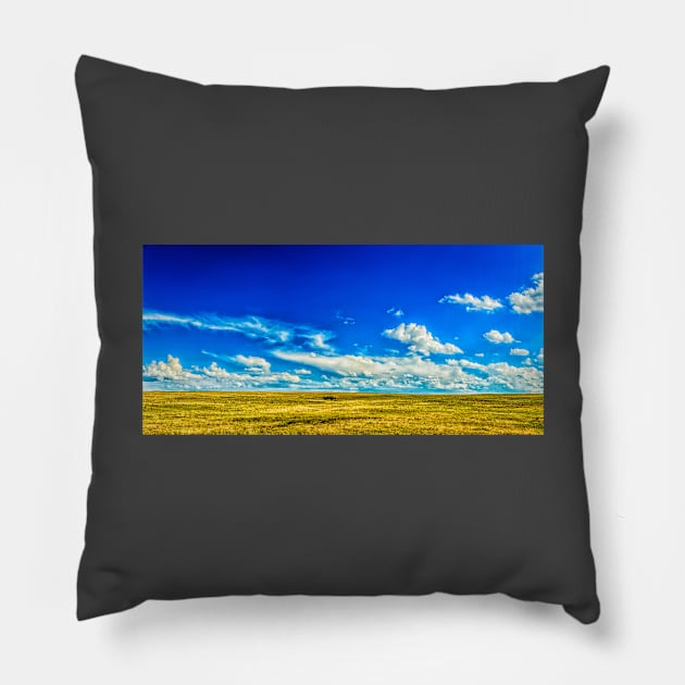 The Great Plains Pillow by Gestalt Imagery