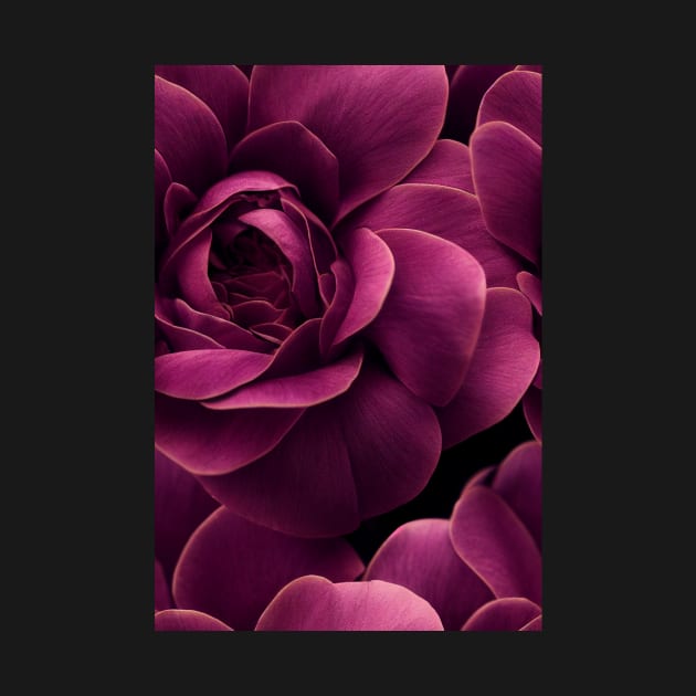 Beautiful Red Burgundy Rose Flowers, for all those who love nature #97 by Endless-Designs