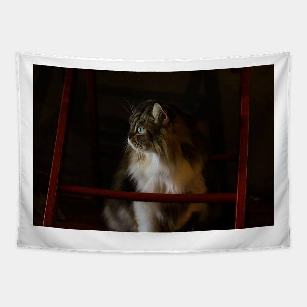 Candid Cat Tapestry by Gun&One