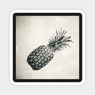 Vintage Black and White Pineapple Magnet