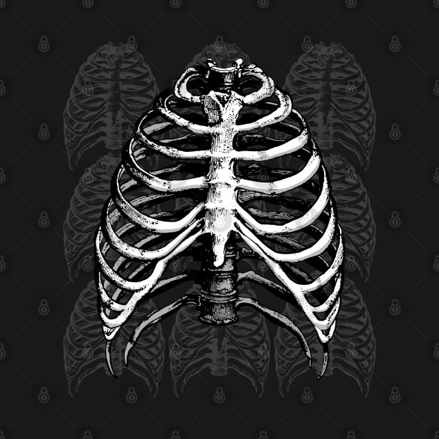 RIBCAGE by Aries Custom Graphics