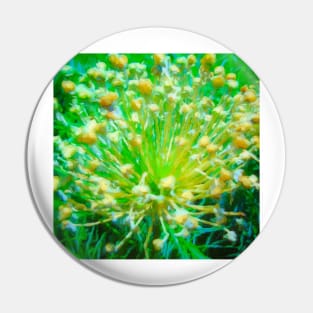 Fennel Flower Burst Pin