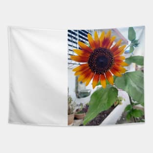 girasol precioso Tapestry