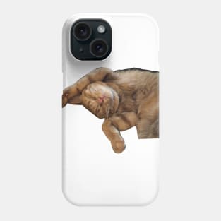 Cute little sleepy cat Phone Case