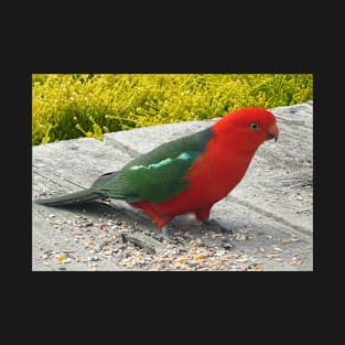 Australian King Parrot T-Shirt