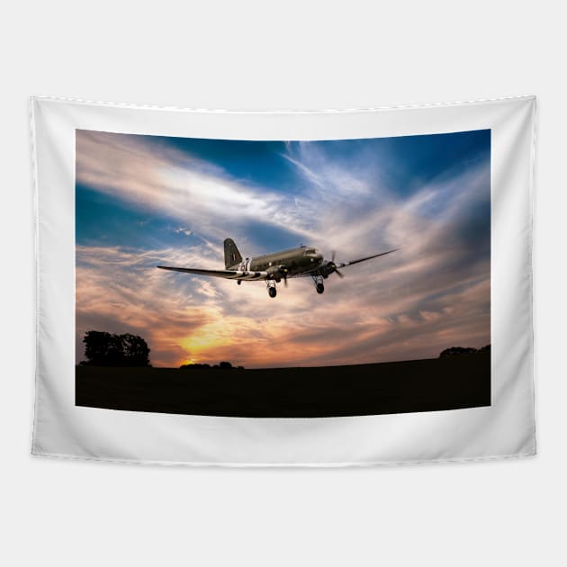 Dakota Comes Home Tapestry by aviationart