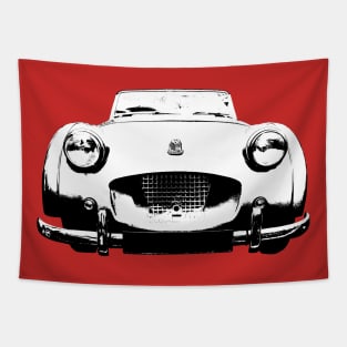 Triumph TR2 1950s British classic car monoblock black/white Tapestry