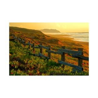 Point Reyes Golden Glow T-Shirt