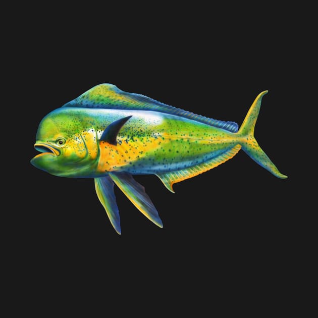 Mahi Mahi by Tim Jeffs Art