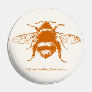 Bumblebee - Illustration in burnt orange Pin