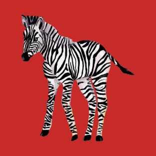 Baby Zebra T-Shirt