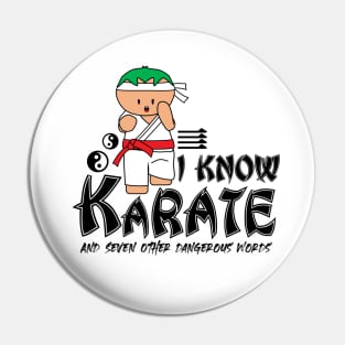 I Know Karate And Seven Other Dangerous Words Pin