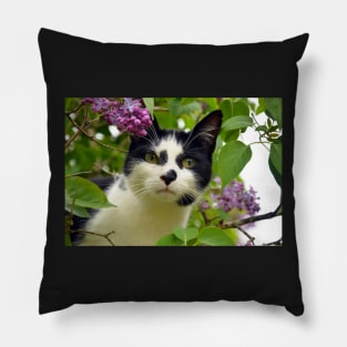 Cute Cat Pillow