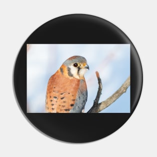 Tiny Falcon Pin