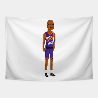 Charles Barkley Tapestry