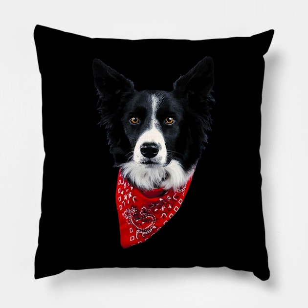 Collie Couture Border, Stylish Statement Tee for Dog Lovers Pillow by Merle Huisman